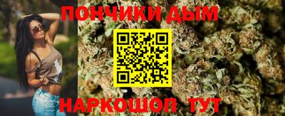 крисы Ливны