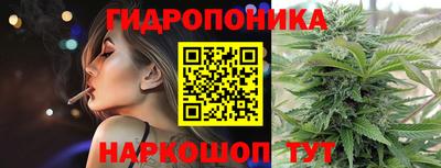 крисы Ливны