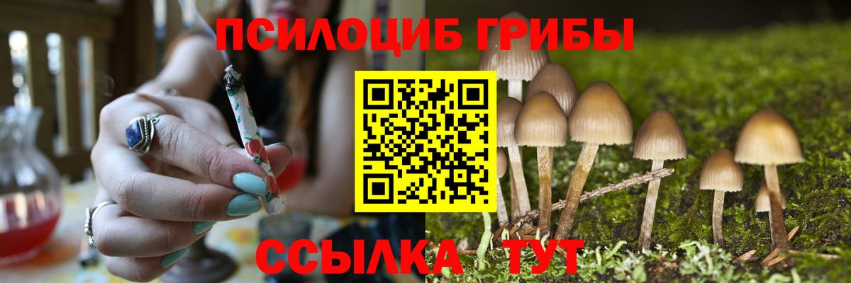 Шахты  Псилоцибиновые грибы Psilocybe  Вход с VPN 